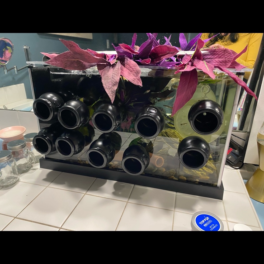 Small plastic hideout - Picture 6 of 8